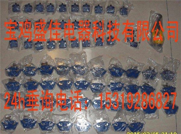 LXW18-11ZS柱塞式微动开关