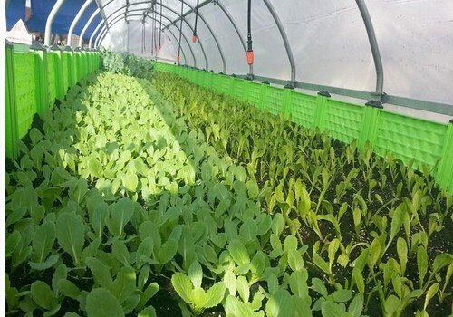 宝齐肥料|廊坊广阳区种植土|广阳区育苗基质
