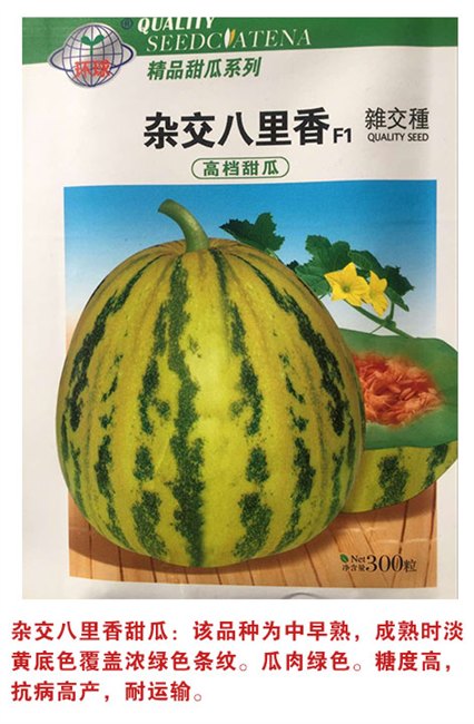 陕西省甜瓜种子哪家好【环球种业】☆