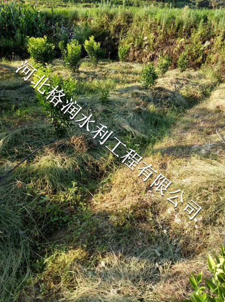 仪陇县土门果园节水灌溉生产售后