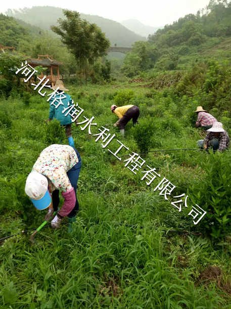 山区果树滴灌|仪陇县土门高效节水
