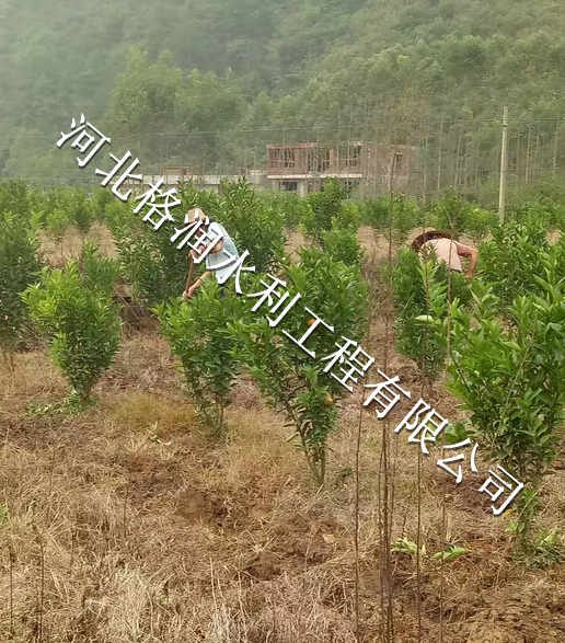 承插配件安装|仪陇县复兴果园灌溉