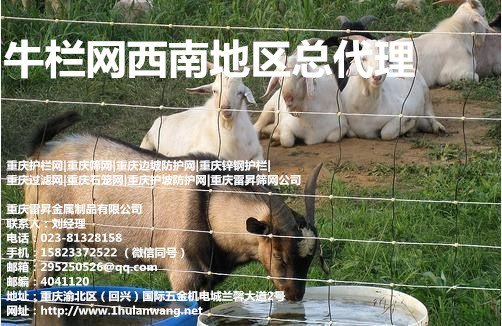 重庆牛栏网西南总代理什么牌子好 重庆雷昇