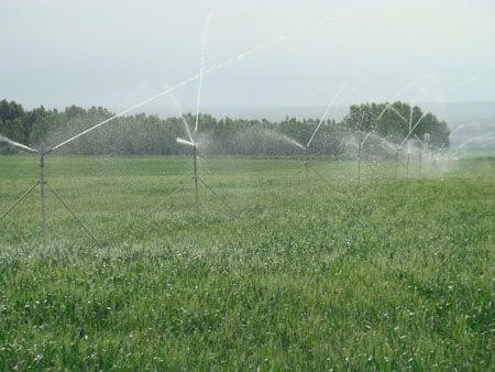 高效水肥一体化技术-农业水肥一体化技术