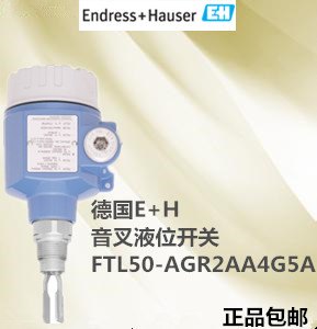 供应德国E+H仪器仪表物位仪表音叉液位开关FTL50