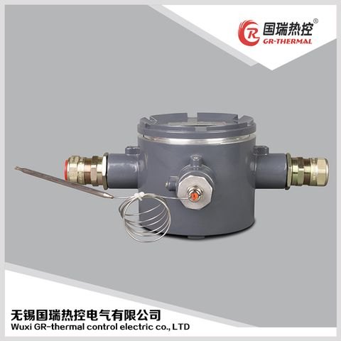 进口温控器，国瑞热控，进口温控器厂家