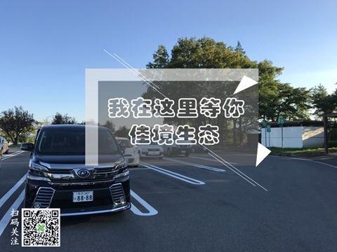 彩色透水地坪胶粘剂，佳境生态，OEM代工贴牌