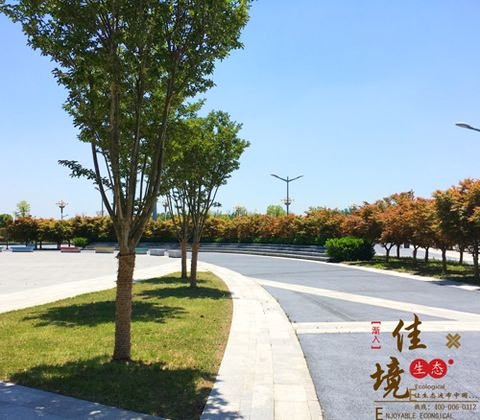 透水地坪固化剂，佳境生态，透水混凝土地坪材料施工