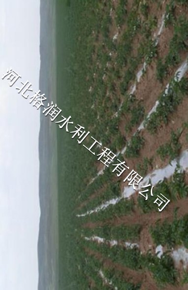汾西县勍香灌溉管|滴灌产品