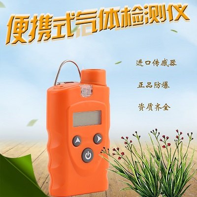 甲烷气体检测仪