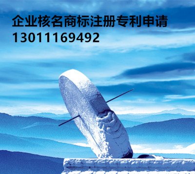 专利申请可加急保授权