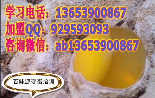 变蛋专业培训哪家强 学松花蛋做法 去哪学变蛋技术