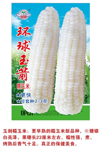 吉林省糯玉米种子||吉林省糯玉米种子价格