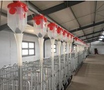 自动化供料系统批发/自动化供料系统