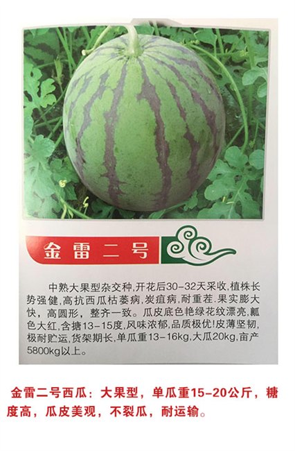 辽宁省西瓜种子公司||辽宁省西瓜种子哪家好