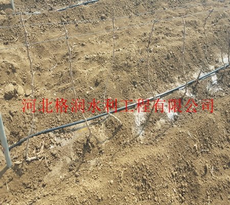 浇水软带/永济市张营滴灌设备型号