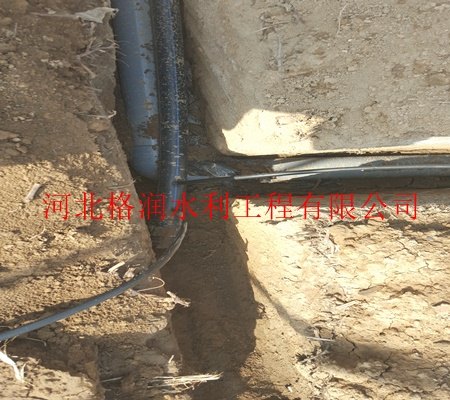 专业厂家|永济市张营大田土豆滴灌设计