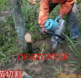 苗木断根挖树机 电动带土球起苗机批发