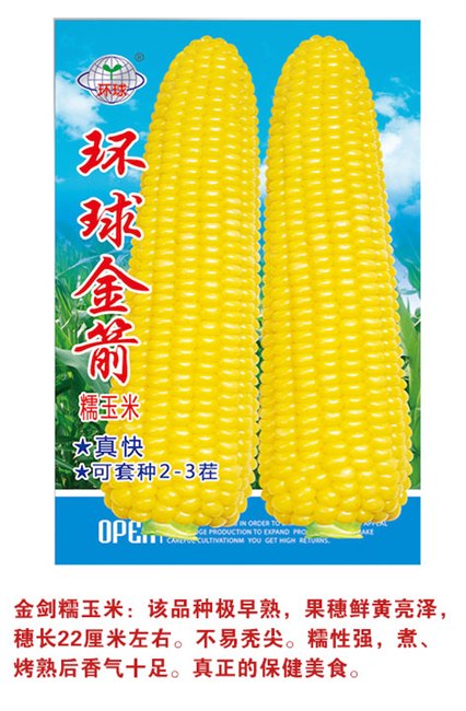 吉林省糯玉米种子-吉林省糯玉米种子价格☆
