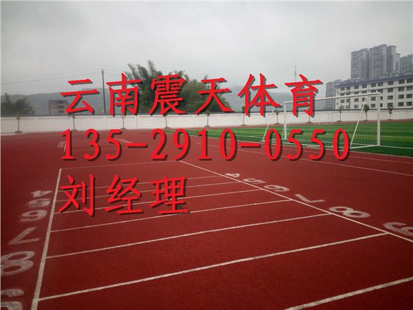 玉龙塑胶跑道报价，哪家更便宜