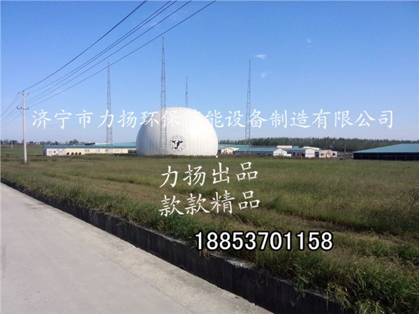 供应双膜气柜、山东力扬沼气工程