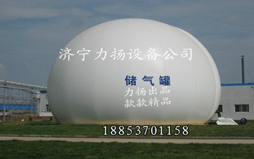 双膜气柜简介，力扬双膜储气柜