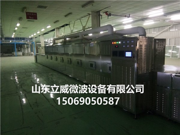 山东鹅卵石微波升温设备直销
