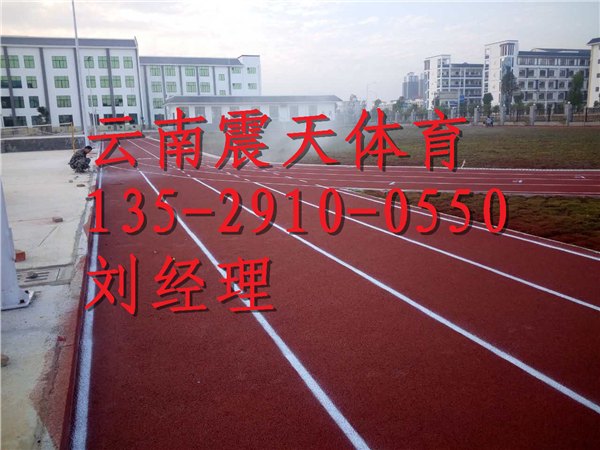 景谷塑胶跑道报价，普洱塑胶跑道价格