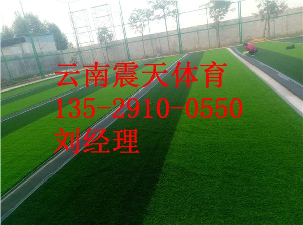 镇沅人造草皮铺设，普洱人造草皮价格