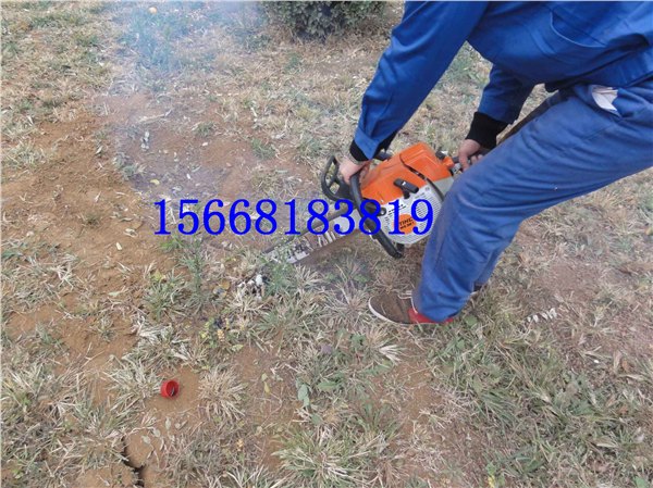 混合油起树苗机 挖树机 带土球起树苗机厂家