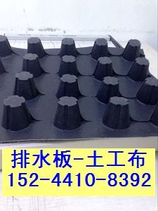 隔根抗穿刺车库绿化排水板屋顶种植隔根板厂家