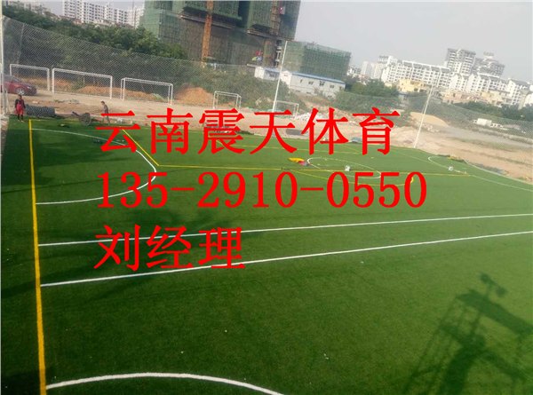 马关人造草皮铺设，文山人造草皮价格
