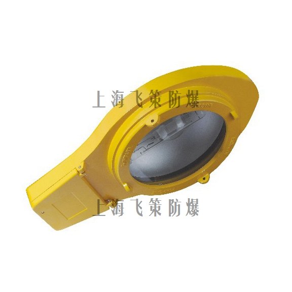 上海飞策 BCd8510系列防爆灯道路灯