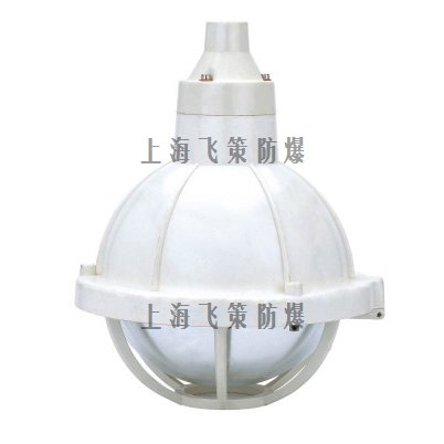 上海飞策 BCd57-e系列防爆灯 外形美观