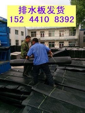 免费样品=地下车库排水板公司=隔根刺绿化排水板报价