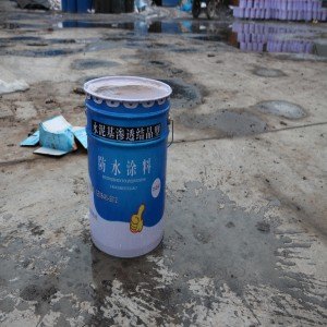 景县华润橡胶]水泥基渗透结晶型防水公司