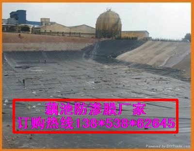 黑色抗氧化土工膜种藕养殖膜阜阳厂家专业生产