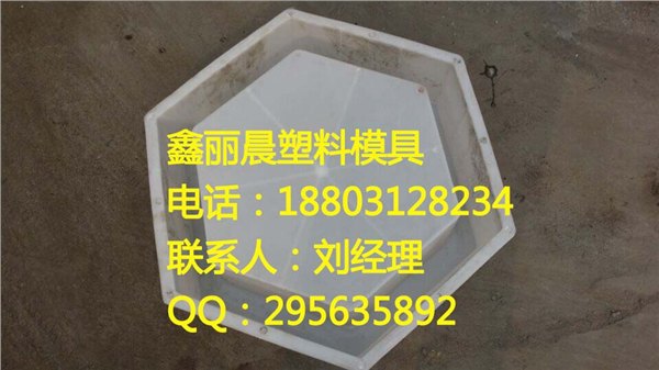 六角模具|鑫丽晨护坡模具厂