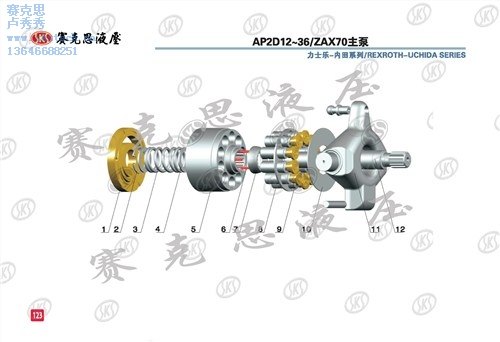力士乐-内田ap2d36lv1rs7-899-2 柱塞泵配件
