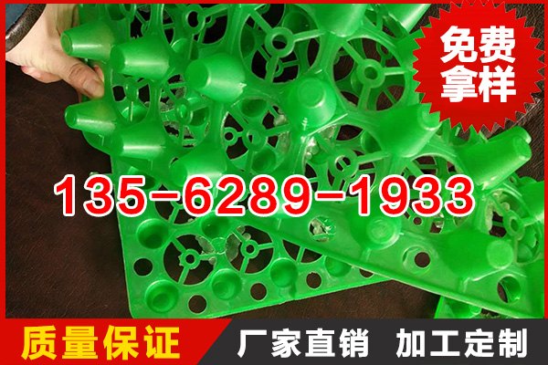 H25绿化蓄排水板生产厂家