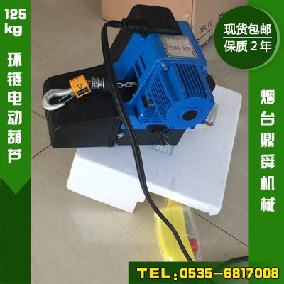 250kg小型电动葫芦，小型电动吊葫芦现货【德国领先工艺】