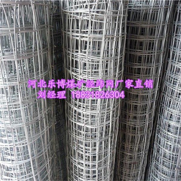 武汉煤矿经纬网湖北煤矿铁丝网荆州煤矿支护锚网