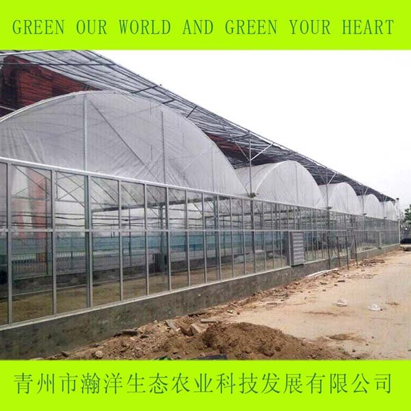 连栋拱形薄膜温室厂家