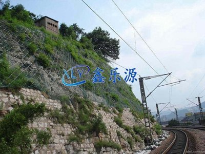 防滑坡边坡防护网找鑫乐源询价格
