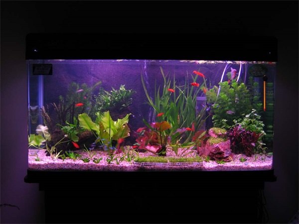 水族箱品牌厂家