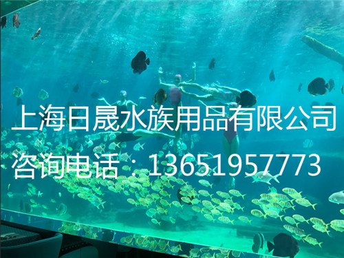 海洋餐厅/海洋馆设计规范/海洋馆设计公司/海洋馆工程