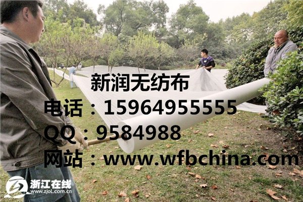山东青岛哪家无纺布质量好？青岛新润无纺布有限公司