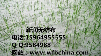 山东新润无纺布，青岛颐和无纺布，青岛惠润无纺布，青岛丰源无纺布，承鑫