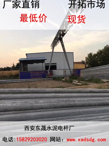 商洛优质监控电杆