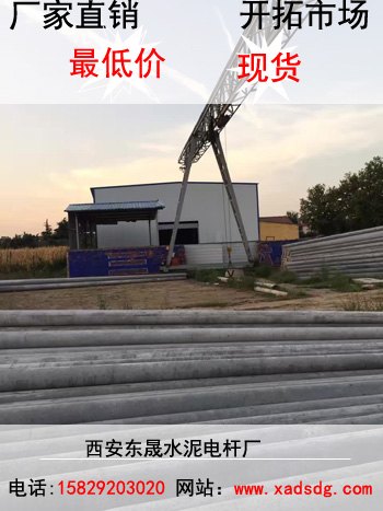 商洛监控电杆型号